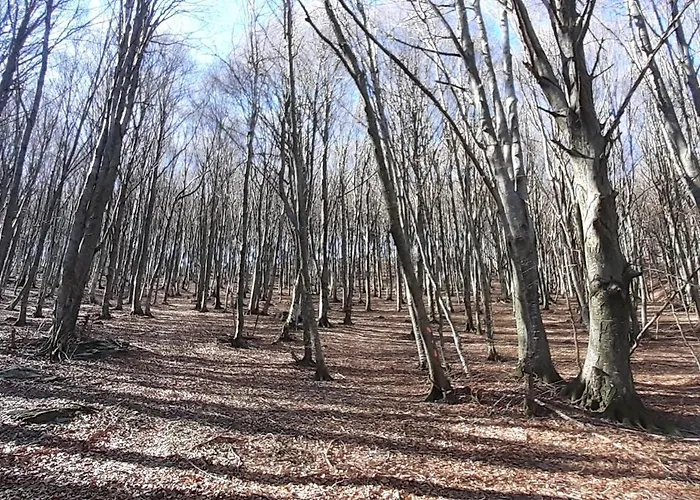 Casa Tra I Boschi Apartmán